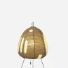 Akari Light Sculpture - 1AG