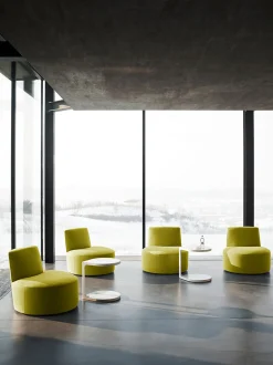 Baobab Armchair