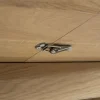 Bok Round Extendable Dining Table - Oak