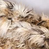 Fuzzy Shepherd Rug - Romb - 200 x 300 cm