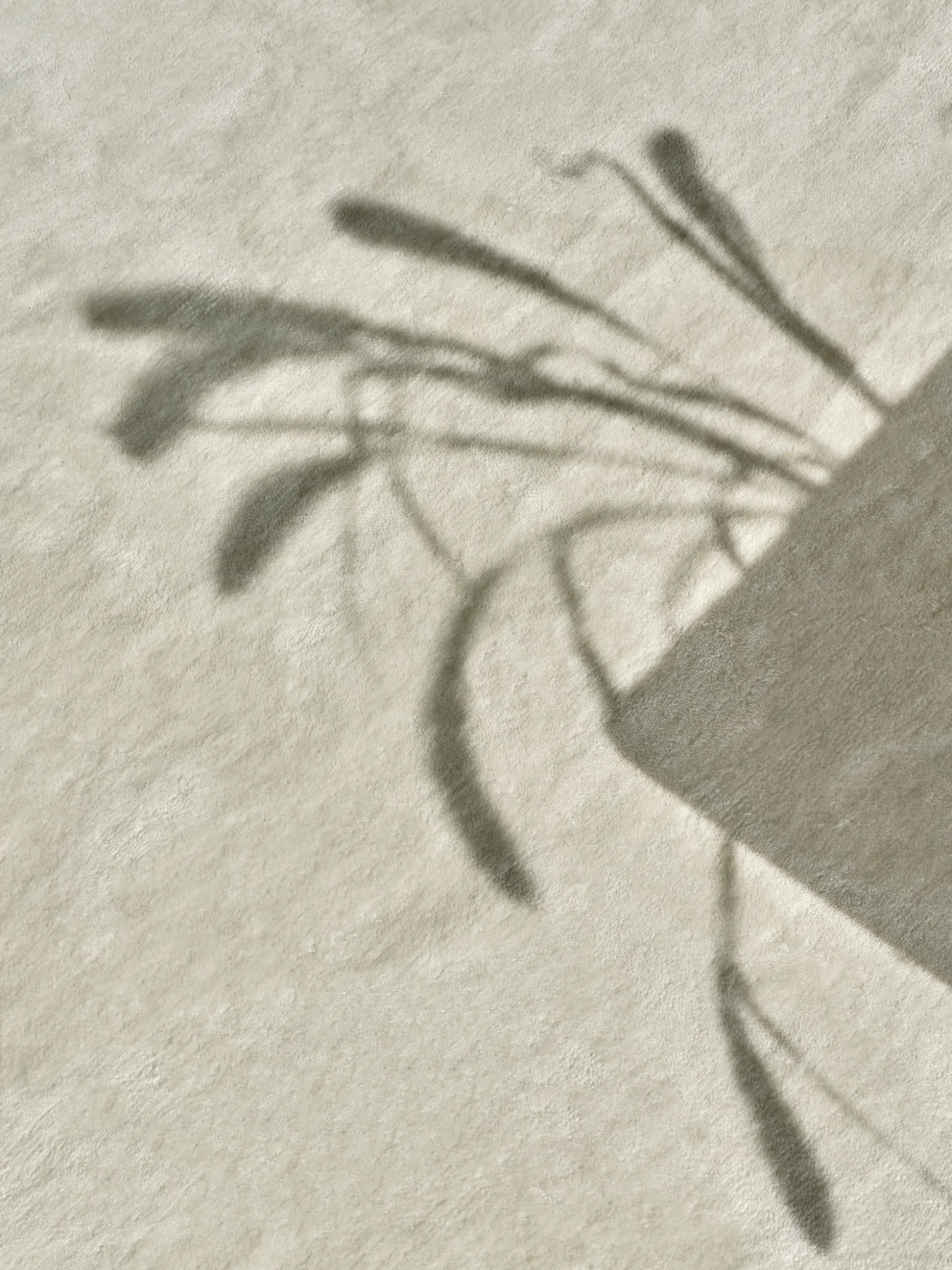 Grand - Dusty White