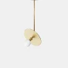 Industrial Pendant
