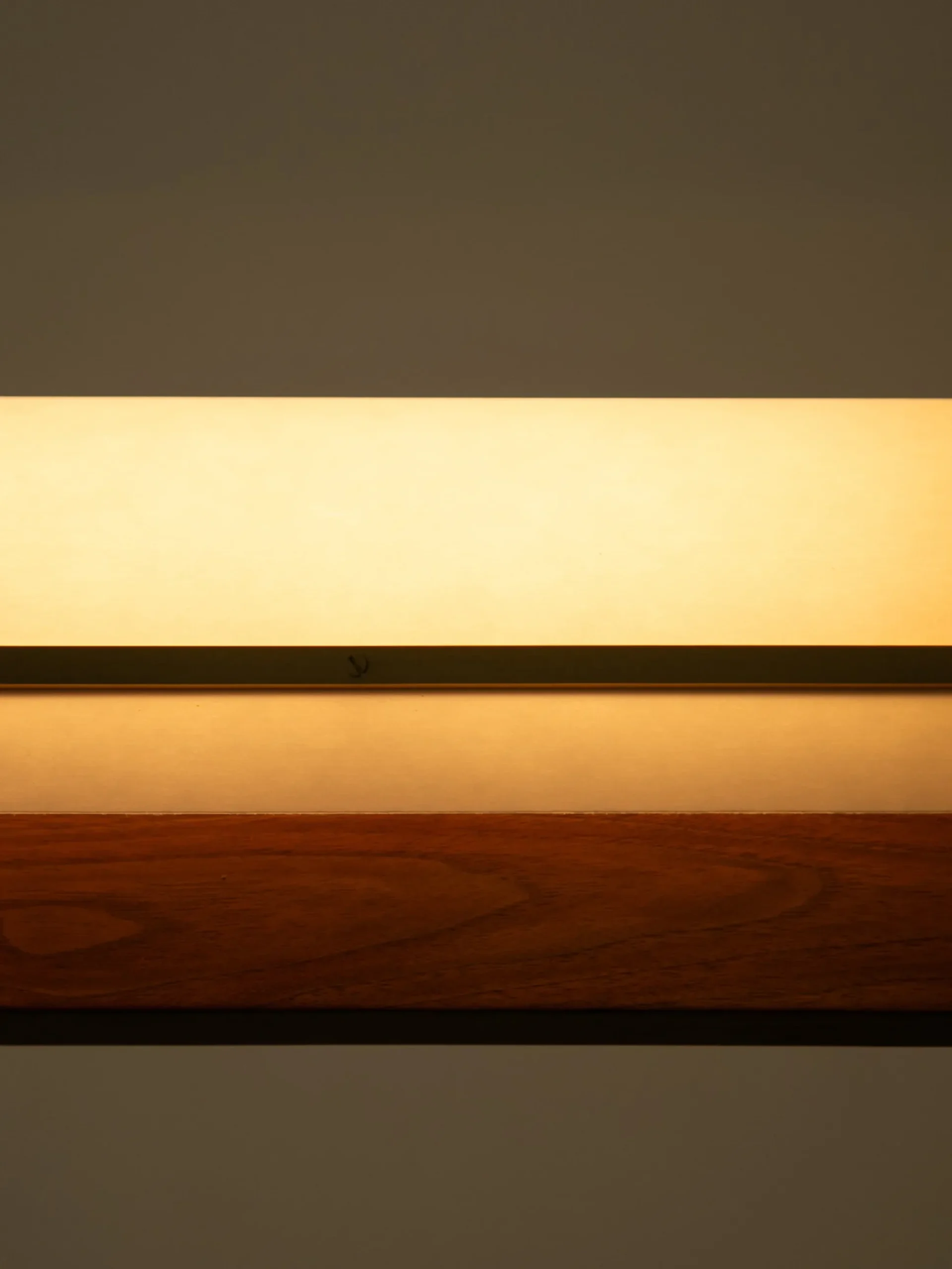 Modernist Linear Suspension Lamp
