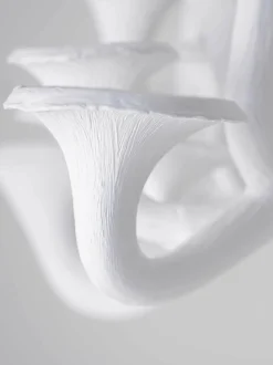 Mushroom Ceiling Light