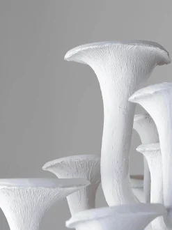 Mushroom Ceiling Light