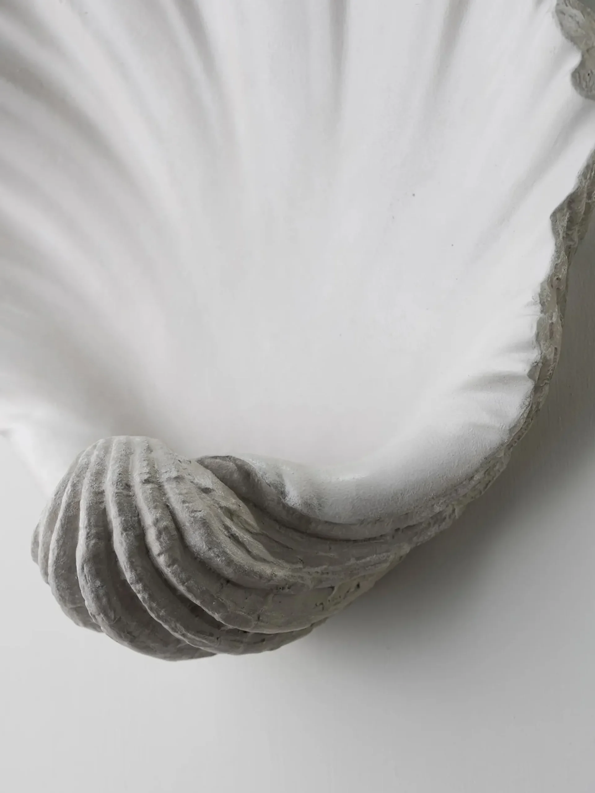 Scallop Shell Wall Light