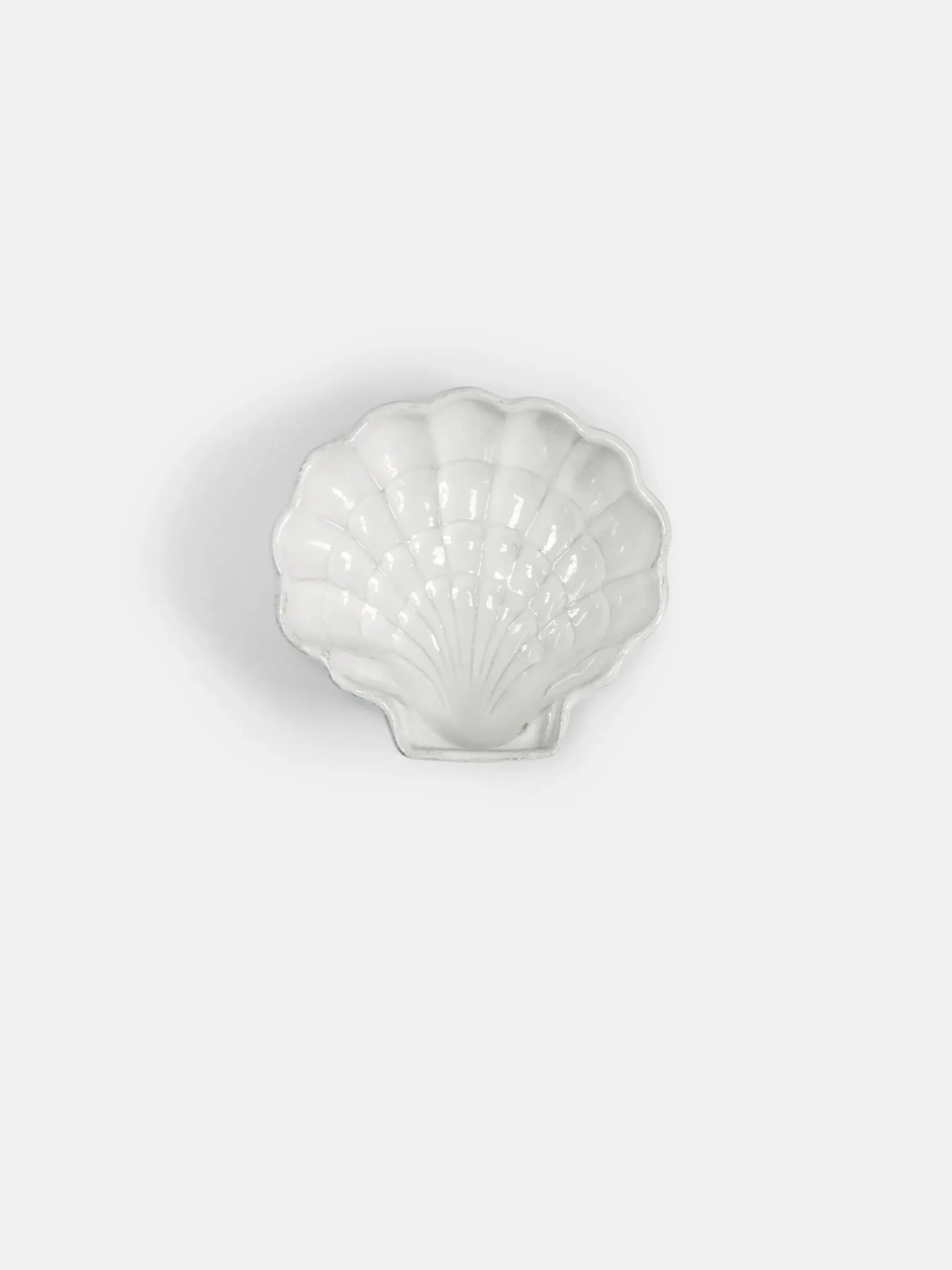 Shell Dish