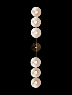 Trapeze 6 Surface