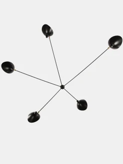Wall Lamp with Five Fixed Arms